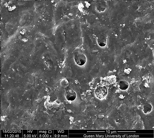sem-biomin-f-after-acid-rgb-d4081934